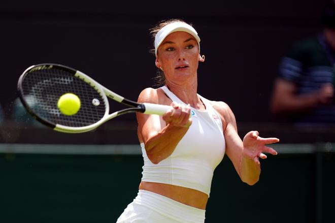 在官号置顶 在官号置顶